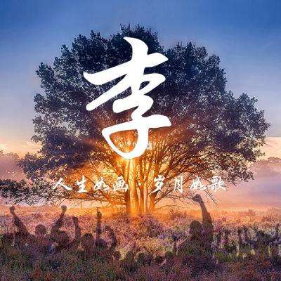 习近平：中方建议将2025年确定为上海合作组织“可持续发展年”
